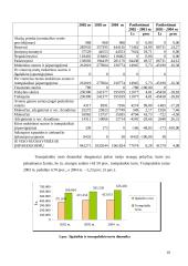 Įmonės finansinės strategijos formavimas ir jos pagrindimas: UAB "Erelita" 10 puslapis