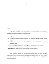 Įmonės ilgalaikės investicijos, jų finansavimas 3 puslapis