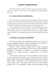 Įmonės informacinė sistema: AB "Garliavos gelžbetonis" 3 puslapis