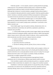 Įmonės išlaidų ir pajamų apskaita 13 puslapis