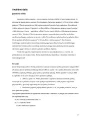 Įmonės išlaidų ir pajamų apskaita 17 puslapis