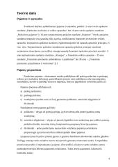 Įmonės išlaidų ir pajamų apskaita 4 puslapis