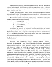 Įmonės išorinės aplinkos modeliai ir jų tarpusavio sąveika 11 puslapis