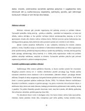 Įmonės išorinės aplinkos modeliai ir jų tarpusavio sąveika 12 puslapis