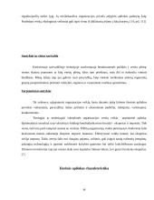 Įmonės išorinės aplinkos modeliai ir jų tarpusavio sąveika 13 puslapis