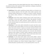 Įmonės išorinės aplinkos modeliai ir jų tarpusavio sąveika 14 puslapis