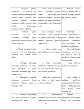 Įmonės išorinės aplinkos modeliai ir jų tarpusavio sąveika 19 puslapis