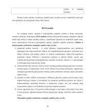 Įmonės išorinės aplinkos modeliai ir jų tarpusavio sąveika 20 puslapis