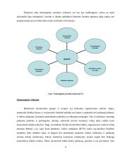 Įmonės išorinės aplinkos modeliai ir jų tarpusavio sąveika 9 puslapis
