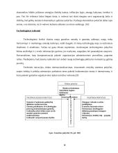 Įmonės išorinės aplinkos modeliai ir jų tarpusavio sąveika 10 puslapis