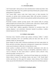 Įmonės marketingo programa: UAB "Strazdo baldai" 12 puslapis