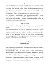 Įmonės marketingo programa: UAB "Strazdo baldai" 13 puslapis