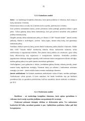 Įmonės marketingo programa: UAB "Strazdo baldai" 14 puslapis