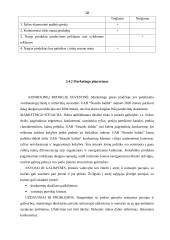 Įmonės marketingo programa: UAB "Strazdo baldai" 17 puslapis