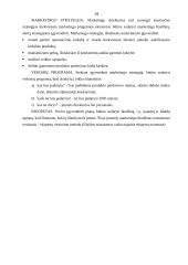 Įmonės marketingo programa: UAB "Strazdo baldai" 18 puslapis