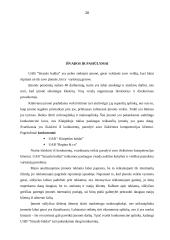 Įmonės marketingo programa: UAB "Strazdo baldai" 19 puslapis