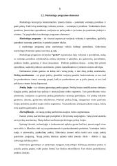 Įmonės marketingo programa: UAB "Strazdo baldai" 5 puslapis