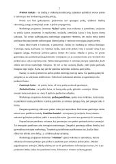 Įmonės marketingo programa: UAB "Strazdo baldai" 6 puslapis