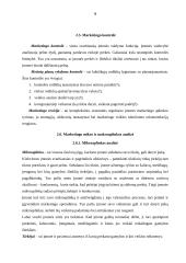 Įmonės marketingo programa: UAB "Strazdo baldai" 8 puslapis