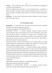 Įmonės marketingo programa: UAB "Strazdo baldai" 9 puslapis