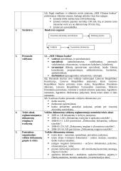 Įmonės raštvedybos charakteristika: AB "SEB Vilniaus Bankas" 5 puslapis