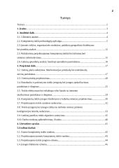 Įmonės kompiuterių tinklo projektavimas: UAB "Lisandra" 2 puslapis