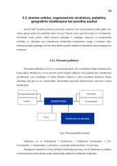 Įmonės kompiuterių tinklo projektavimas: UAB "Lisandra" 12 puslapis