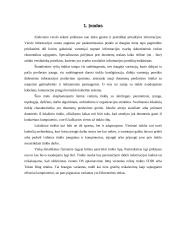 Įmonės kompiuterių tinklo projektavimas: UAB "Lisandra" 3 puslapis