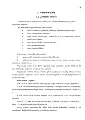 Įmonės kompiuterių tinklo projektavimas: UAB "Lisandra" 4 puslapis