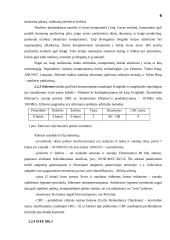 Įmonės kompiuterių tinklo projektavimas: UAB "Lisandra" 6 puslapis