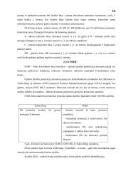 Įmonės kompiuterių tinklo projektavimas: UAB "Lisandra" 10 puslapis