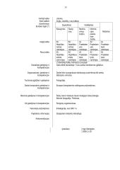 Įmonės veiklos dokumentai: AB "Leitiva" 11 puslapis