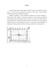 Įmonės kompiuterizavimas: VĮ "Utenos regiono keliai" 3 puslapis