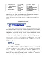 Įmonės kompiuterizavimas: VĮ "Utenos regiono keliai" 6 puslapis