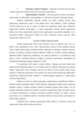 Įmonės kultūros ir konkurencingumo sąveikos tyrimas 11 puslapis