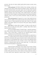 Įmonės kultūros ir konkurencingumo sąveikos tyrimas 13 puslapis