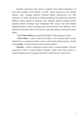 Įmonės kultūros ir konkurencingumo sąveikos tyrimas 4 puslapis