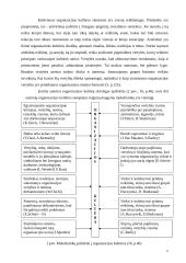 Įmonės kultūros ir konkurencingumo sąveikos tyrimas 6 puslapis