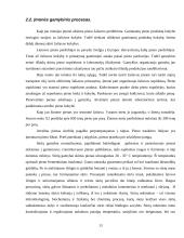 Kokybės vadybos sistema įmonėje 13 puslapis