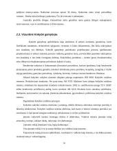 Kokybės vadybos sistema įmonėje 14 puslapis