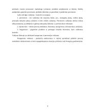 Kokybės vadybos sistema įmonėje 9 puslapis