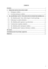 Įmonės mokumo ir pelningumo rodikliai: AB "Mažeikių nafta" 2 puslapis