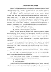 Įmonės mokumo ir pelningumo rodikliai: AB "Mažeikių nafta" 11 puslapis