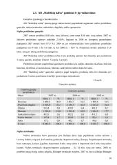 Įmonės mokumo ir pelningumo rodikliai: AB "Mažeikių nafta" 18 puslapis