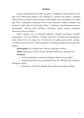 Įmonės mokumo ir pelningumo rodikliai: AB "Mažeikių nafta" 3 puslapis