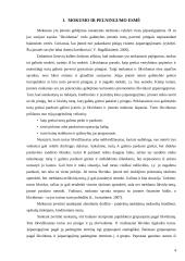 Įmonės mokumo ir pelningumo rodikliai: AB "Mažeikių nafta" 4 puslapis