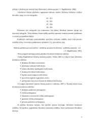 Įmonės mokumo ir pelningumo rodikliai: AB "Mažeikių nafta" 5 puslapis