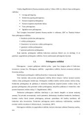 Įmonės mokumo ir pelningumo rodikliai: AB "Mažeikių nafta" 7 puslapis