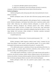 Įmonės mokumo ir pelningumo rodikliai: AB "Mažeikių nafta" 8 puslapis