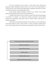 Kokybiško produkto kūrimas siekiant organizacijos konkurencingumo 13 puslapis